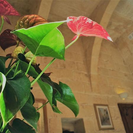 Bed and Breakfast Encanto Vegetarian Bed & Breakfast Xagħra Exterior foto