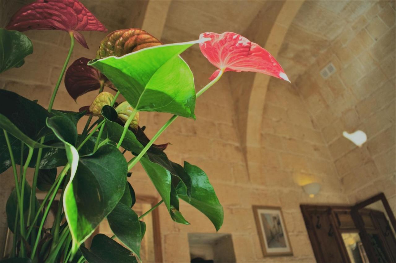 Bed and Breakfast Encanto Vegetarian Bed & Breakfast Xagħra Exterior foto